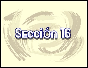 #ExpoNinot20: Seccion 16