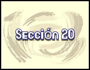 #ExpoNinot20: Seccion 20